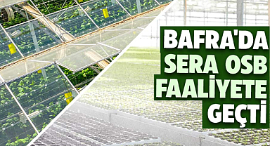Bafra'da Sera OSB faaliyete geçti