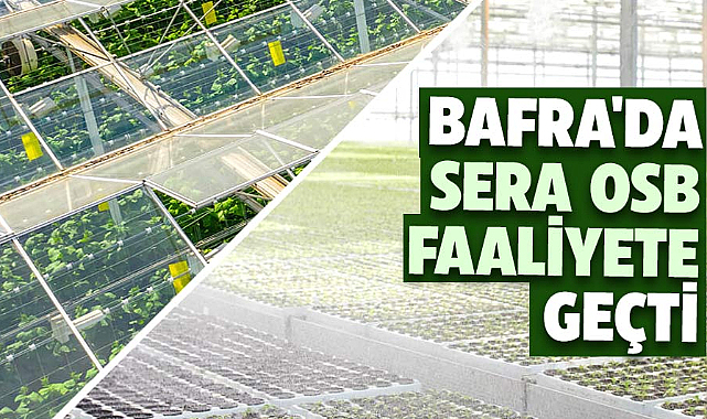 Bafra'da Sera OSB faaliyete geçti