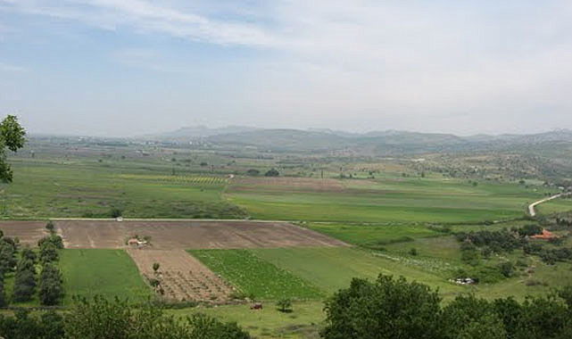 Bafra Ovası nerededir?