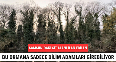 Bu ormana bilim adamı olmayan giremiyor