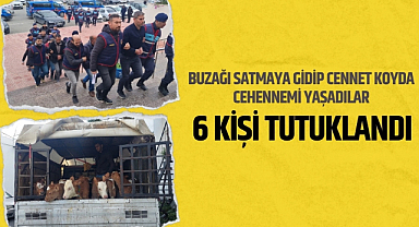 Buzağı satıcılarını darp eden 6 kişi tutuklandı
