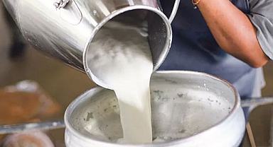 Çiğ süt fiyatları yükseliyor