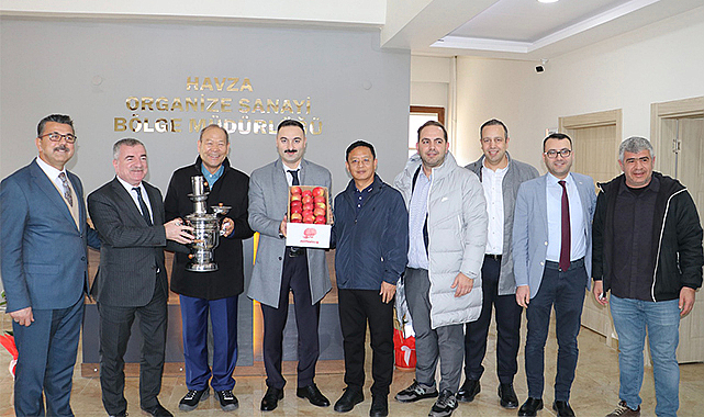 Çinli yatırımcılar Havza OSB'de inceleme yaptı