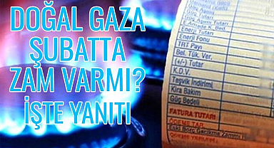 Doğal gaza şubatta zam var mı? İşte yanıtı