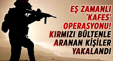 Eş zamanlı 'Kafes' operasyonu! Kırmızı bültenle aranan kişiler yakalandı
