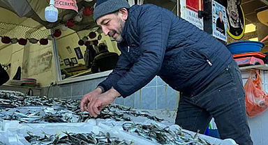 Hamsi tezgahtaki krallığını istavrite kaptırdı