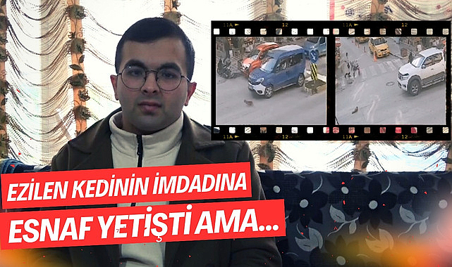 İki aracın ezdiği kedinin yardımına esnaf koştu