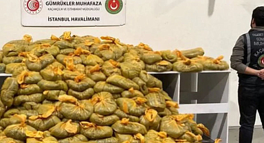 İstanbul Havalimanı'nda yarım ton uyuşturucu yakalandı