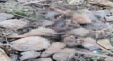 İzmir'de insan kemikleri bulundu