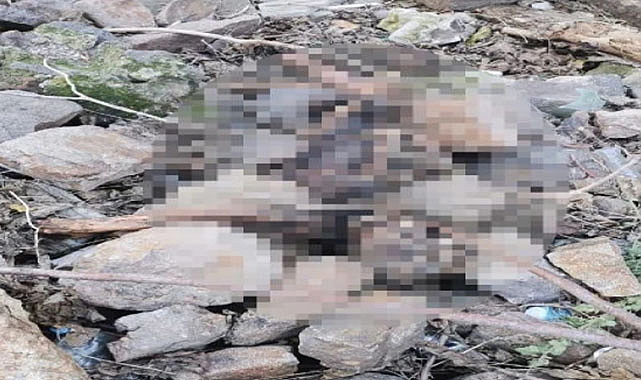 İzmir'de insan kemikleri bulundu