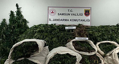 Kavak'ta uyuşturucu ile mücadele