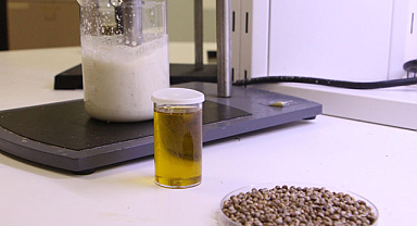 Kenevir, omega yağlarıyla zenginleşen bir seçenek olabilir