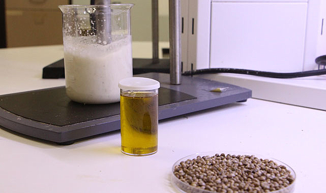 Kenevir, omega yağlarıyla zenginleşen bir seçenek olabilir