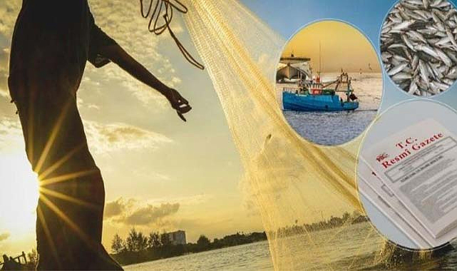 Küçük ölçekli balıkçılara destek: Başvurular başladı!