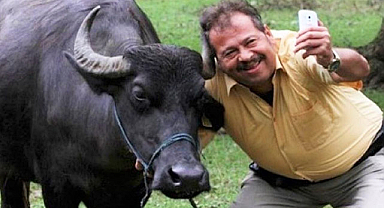 Manda yuva yapmış söğüt dalına hikayesi