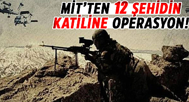 MİT’ten 12 şehidin katiline operasyon!