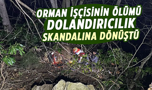 Orman işçisinin ölümü dolandırıcılık skandalına dönüştü