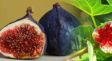 Rüyada incir görmek ne demek?