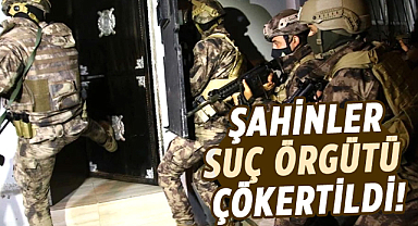 Şahinler suç örgütü çökertildi!