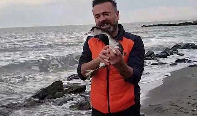 Samsun'da cesur vatandaş karabatağı ölümden kurtardı!