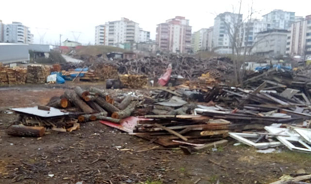 Samsun’da vatandaş odun pazarının taşınmasını istiyor