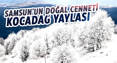 Samsun'un doğal cenneti: Kocadağ Yaylası