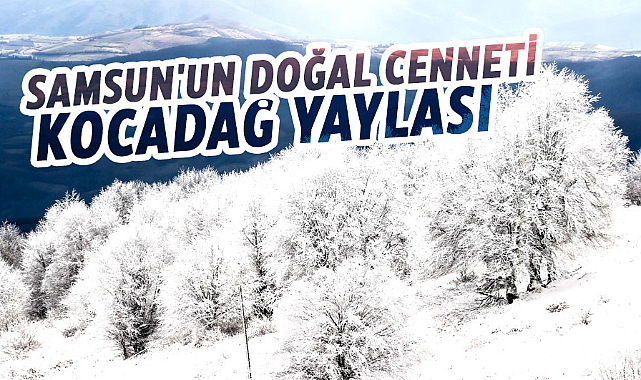 Samsun'un doğal cenneti: Kocadağ Yaylası