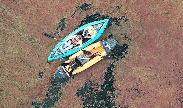 Samsun'un gözdesi: Kızılırmak Deltası doğa tutkunlarını büyülüyor!