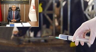 Şap hastalığı aşısı yılda 3 doza çıktı!