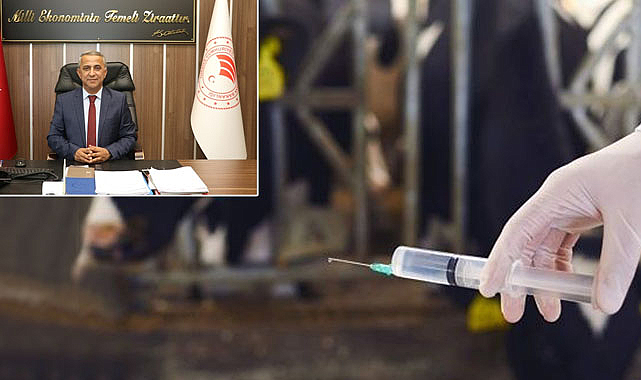 Şap hastalığı aşısı yılda 3 doza çıktı!