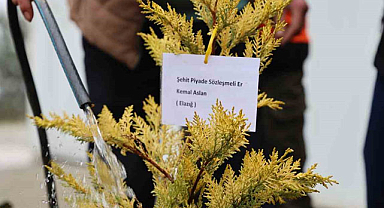 Şehitlerin anısına fidan diktiler