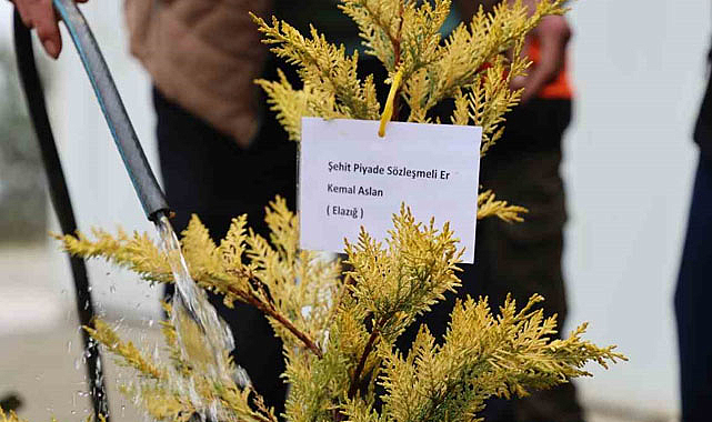 Şehitlerin anısına fidan diktiler