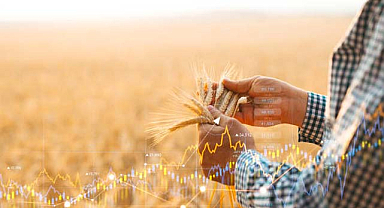 Tarım sektöründe banka borçları patladı: İthalat ihracatı geride bıraktı!