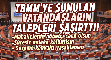 TBMM'ye sunulan vatandaşların talepleri şaşırttı!