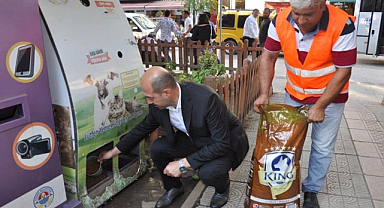 Terme'de sokak hayvanlarına destek
