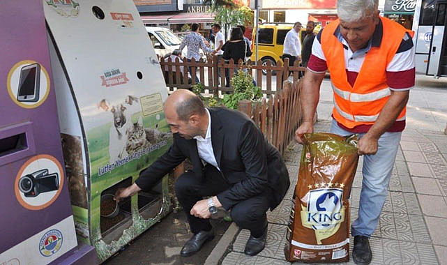 Terme'de sokak hayvanlarına destek