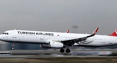 THY uçağında kedili kaos: İstanbul-Atina seferi geri döndü!