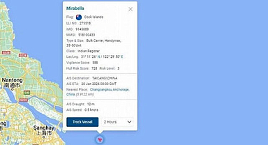 Türk mürettebatı taşıyan gemi battı!