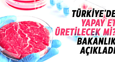 Türkiye'de yapay et üretilecek mi? Bakanlık açıkladı
