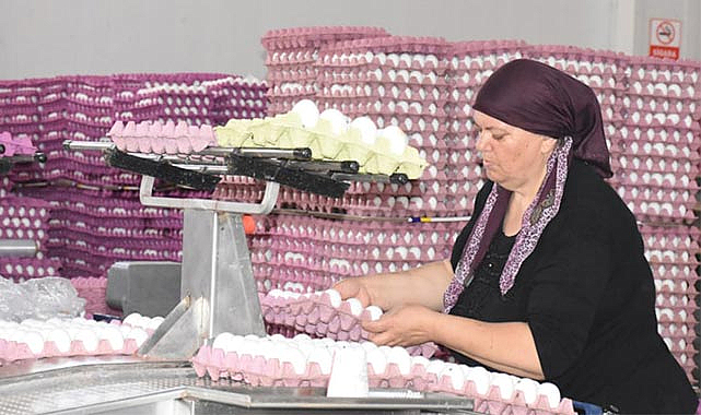 Üreticide 80 TL markette 120 TL