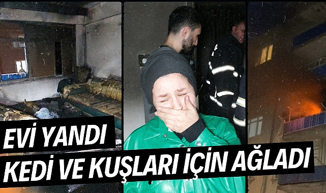 Yangında ölen kedi ve kuşları için ağladı