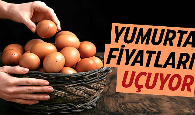 Yumurta fiyatları tırmanıyor!