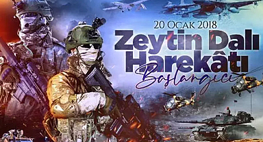 'Zeytin Dalı Harekatı' paylaşımı