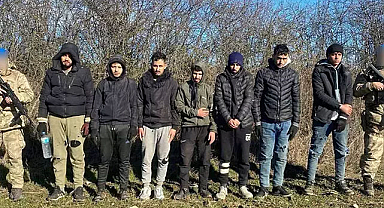 294 göçmen ile 14 organizatör yakalandı