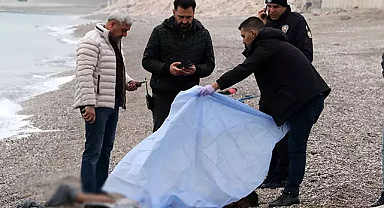 Antalya'da korkunç olay