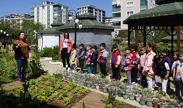 Ata tohumlar, Atakum’dan geleceğe taşınıyor