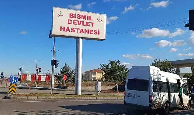 Diyarbakır'da başıboş köpekler çocuğa saldırdı