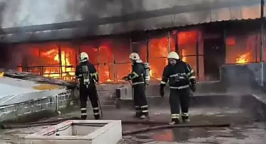 Diyarbakır'da güvercin otelinde yangın! Yüzlerce güvercin öldü