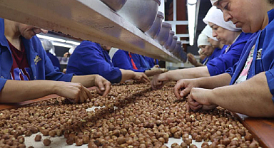 Fındık ihracatında rekor kırıldı