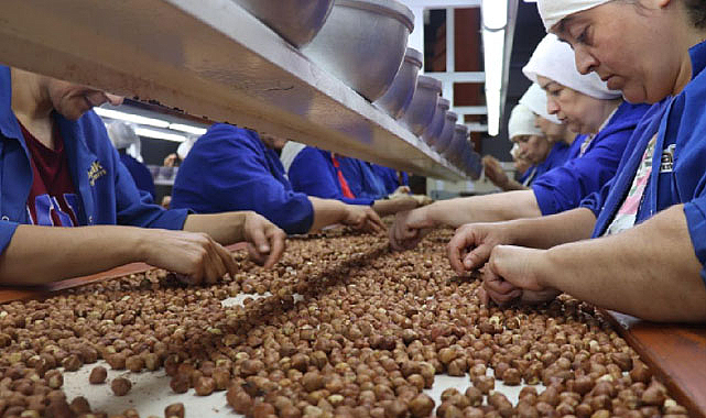 Fındık ihracatında rekor kırıldı